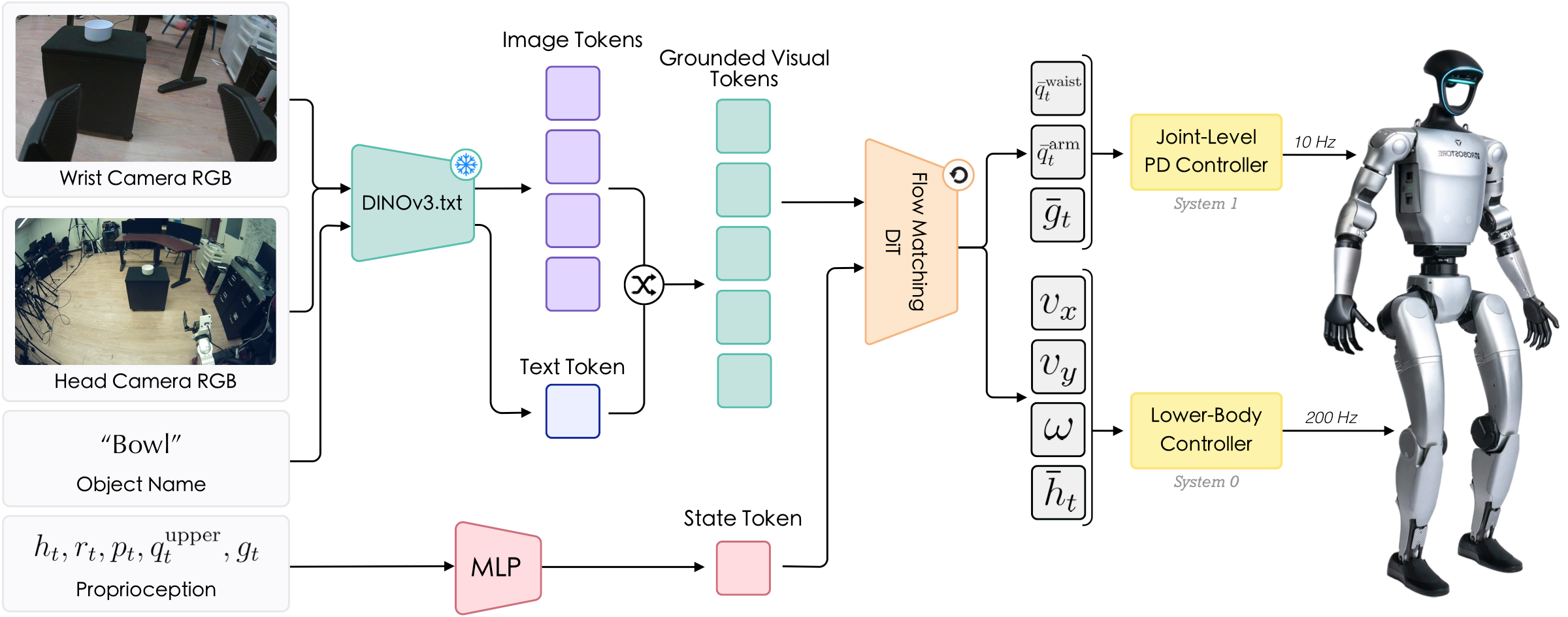 Head and wrist RGB plus an object name go through a frozen DINOv3.txt encoder, proprioception through an MLP; the resulting tokens feed a flow-matching DiT that emits upper-body targets to a joint-level PD controller and base commands to the lower-body controller